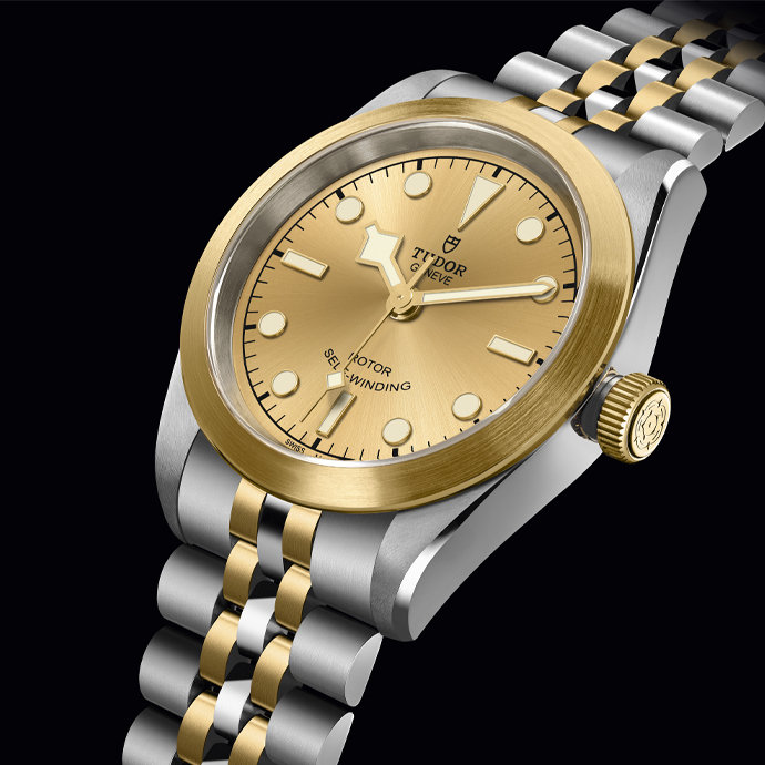 Часы Tudor Black Bay S&G в 32 мм корпусе из стали и желтого золота.jpg