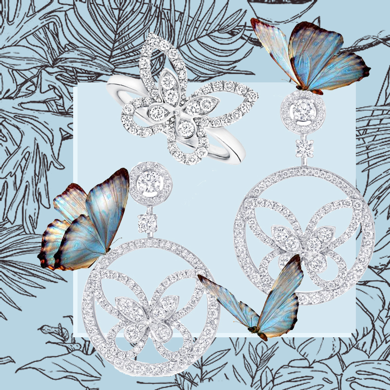 Серьги и кольцо Graff Butterfly из белого золота с бриллиантами