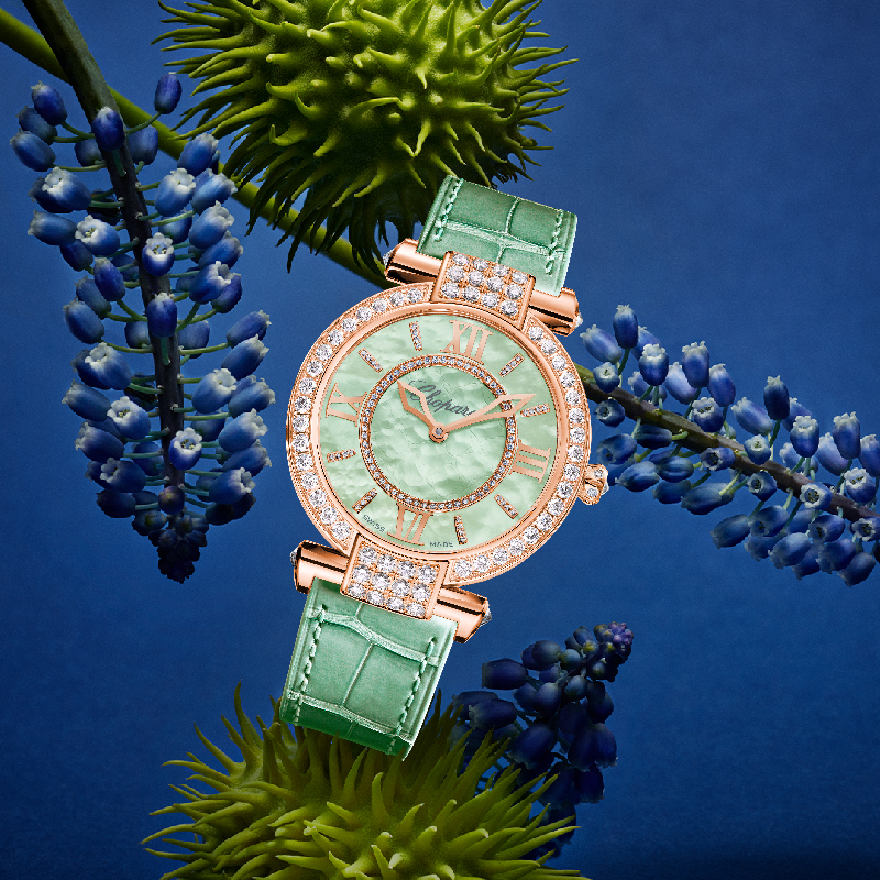 Часы Chopard Imperiale Joaillerie в 36 мм корпусе из розового золота с бриллиантами на корпусе, безеле и циферблате