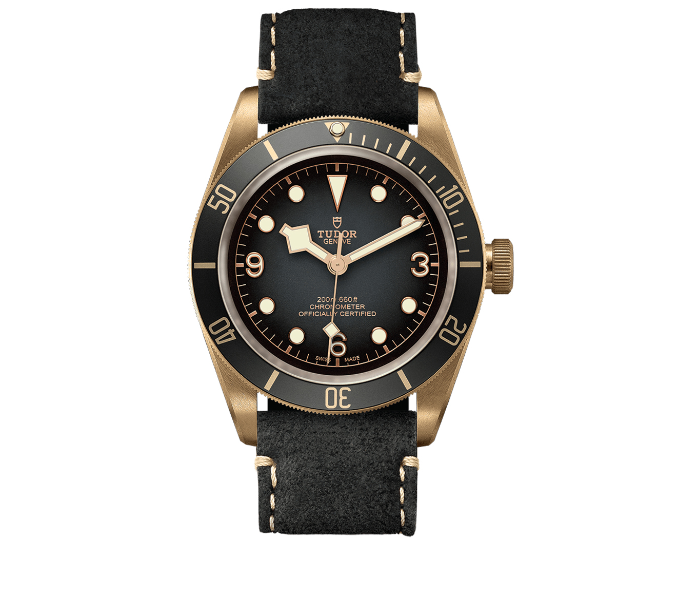 Часы Black Bay Bronze Tudor Black Bay 79250BA/CALF/SLATE GREY - фото 1 – Mercury