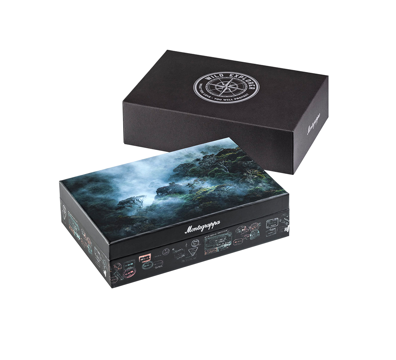 Перьевая ручка Arctic Montegrappa Wild Explorer ISWDR2AA - фото 5 – Mercury