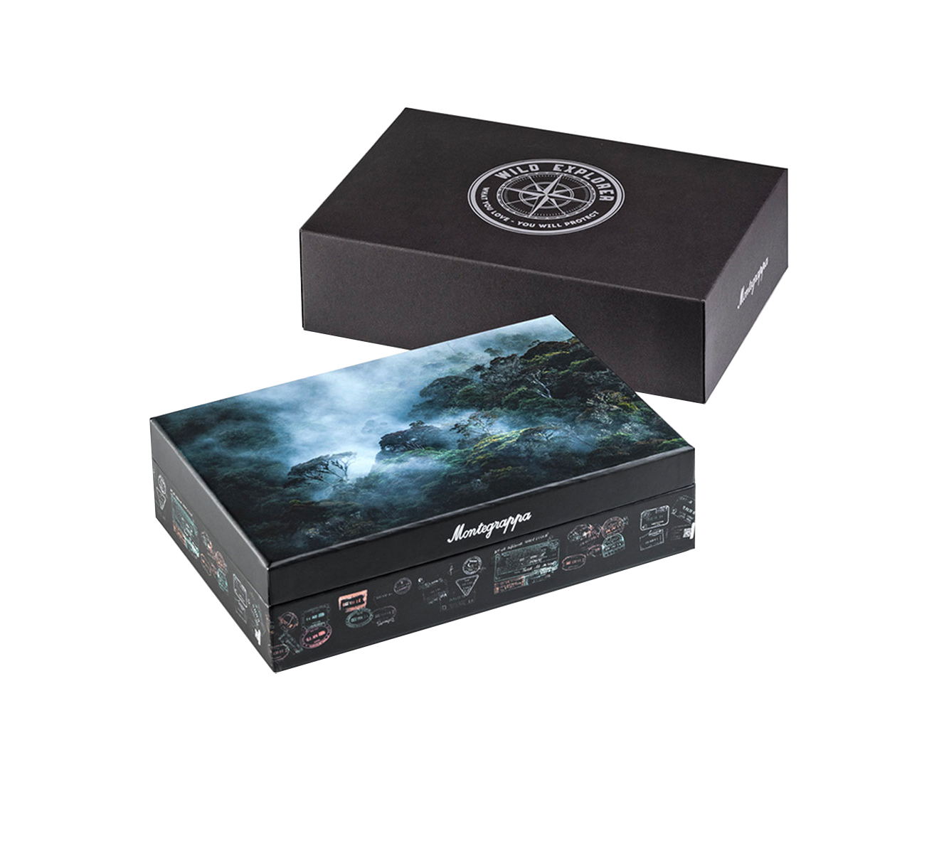 Перьевая ручка Arctic Montegrappa Wild Explorer ISWDR3AA - фото 5 – Mercury