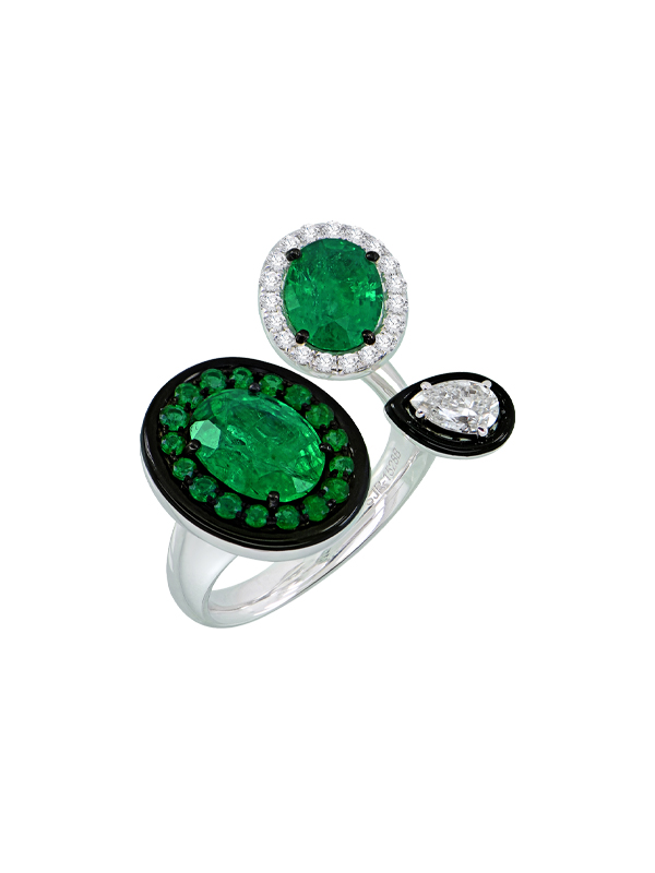 SJR1528 ERLD