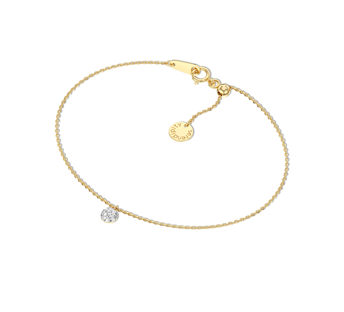 Браслет Serendipity Timeless EJBR0021Y - фото 3 – Mercury