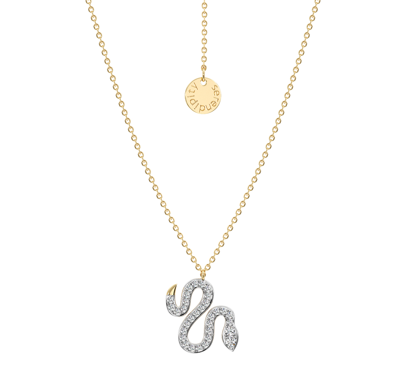 Колье Serendipity Snake EJN0063Y - фото 1 – Mercury