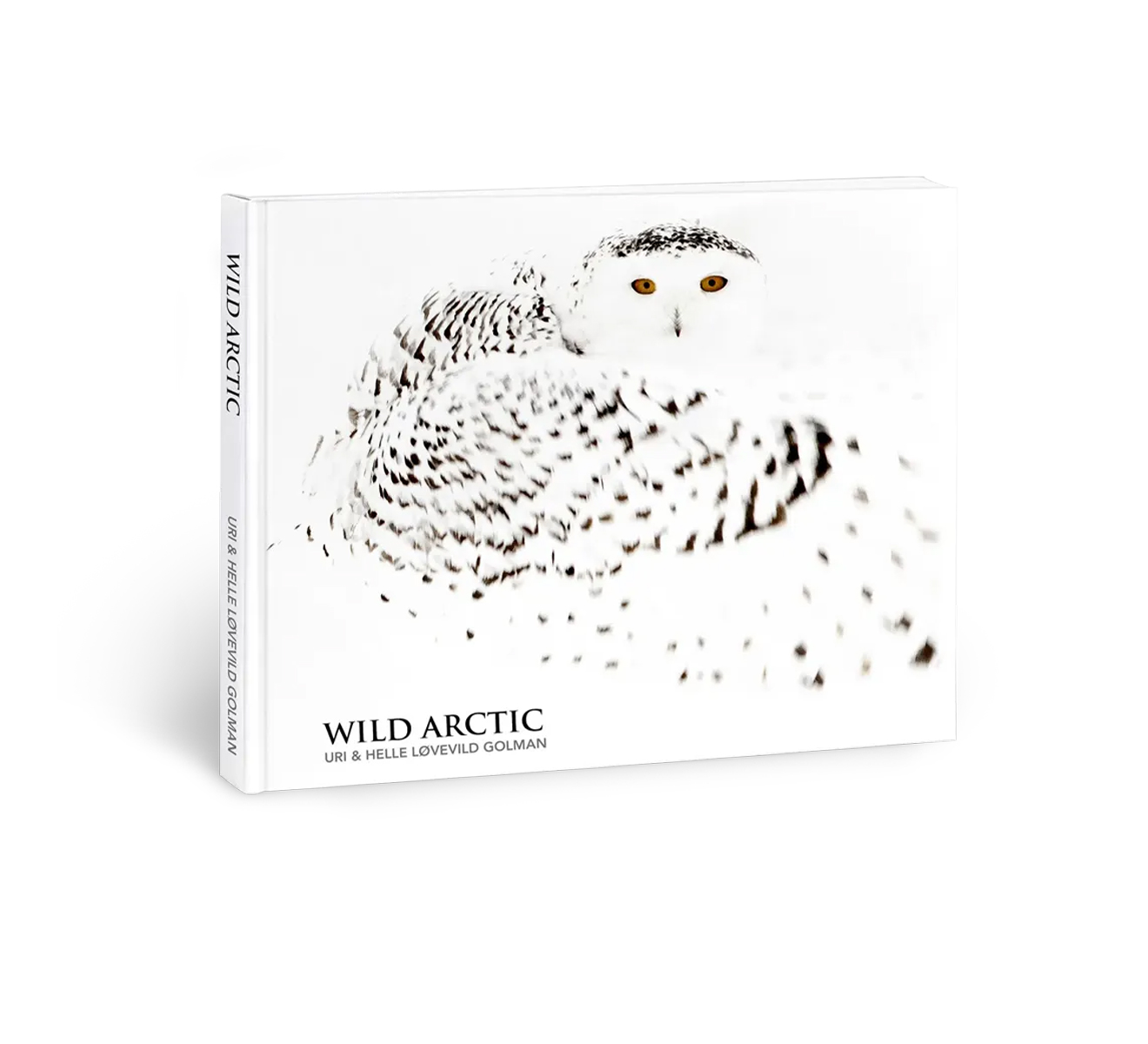 Ручка-роллер Arctic Ice Montegrappa Wild Explorer ISWDRRIA - фото 7 – Mercury